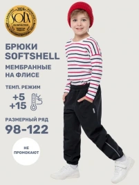 Брюки NIKASTYLE 2л17125 черный